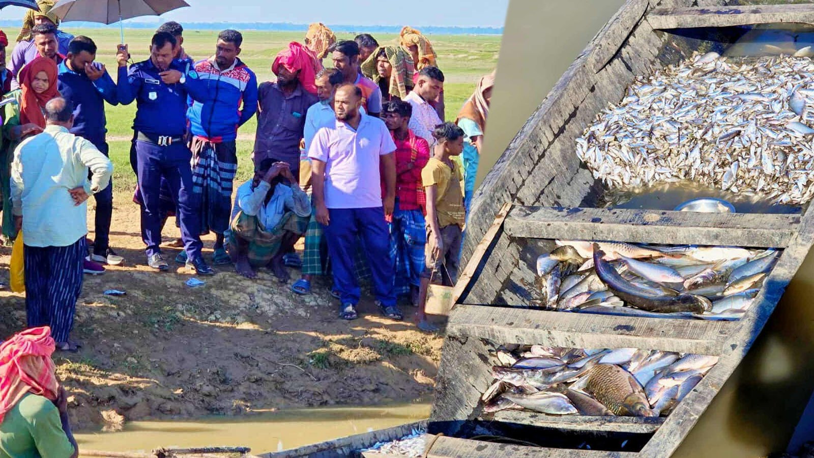 হাকালুকি হাওরে মাছ লুটের বিরুদ্ধে মামলা